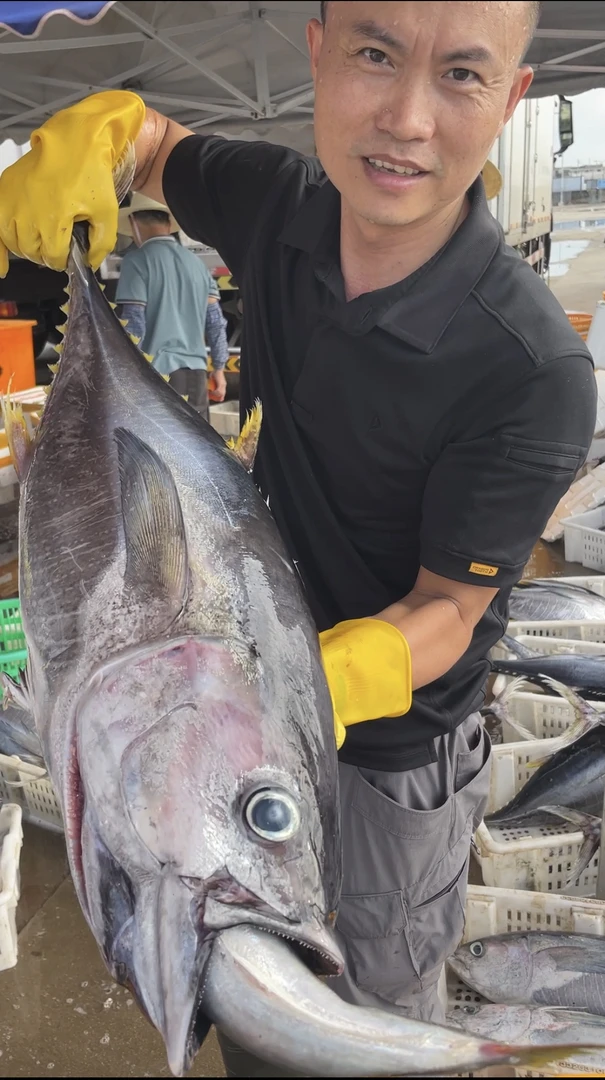 【黄鳍家族】海钓放血黄鳍金枪鱼新鲜肚子内侧可能漏刺肉质略带酸味