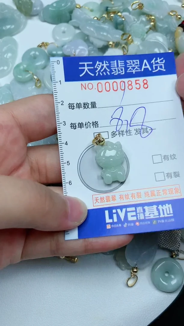 【闪购商品】翡翠颈饰未镶嵌00000858