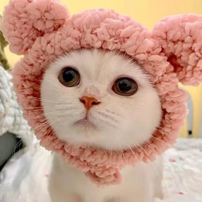 宠物帽子小猫毛绒头套英短可爱猫咪头套狗狗搞怪头饰变装猫猫头套