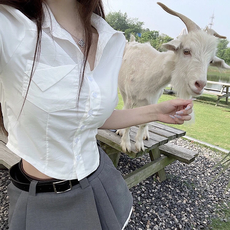 新款衬衫甜美纯欲风衬衣修身显瘦收腰短款上衣潮