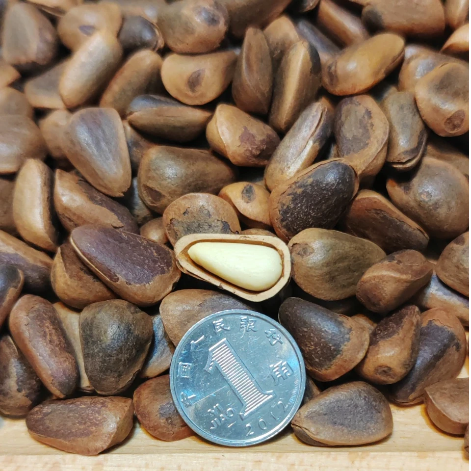 山苑松子笨炒松子东北野生松子现炒坚果零食炒货开口原味松子