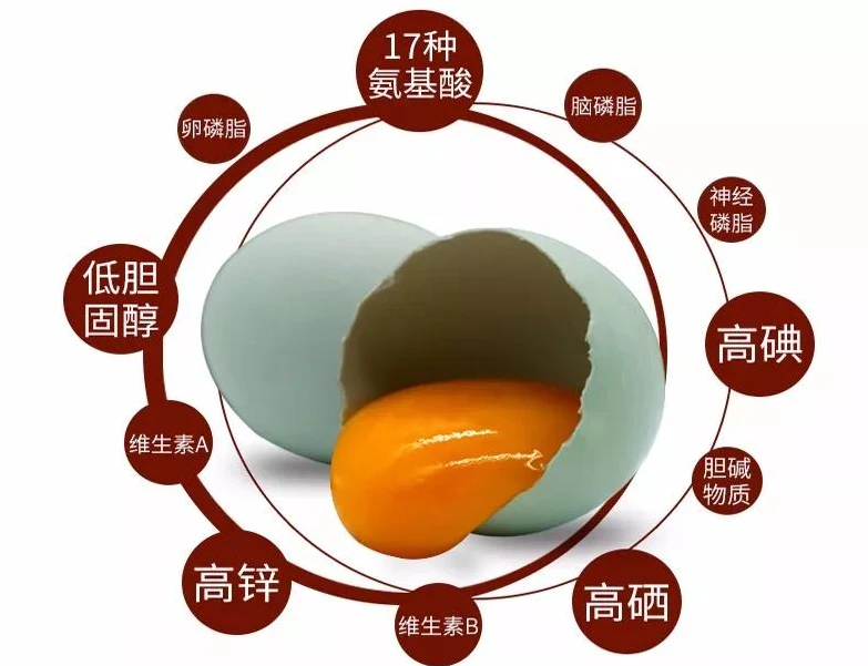 50枚装（绿壳）生态散养五黑鸡鸡蛋