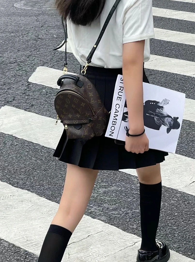 95新 LouisVuitton/路易威登 lv老花小双肩包