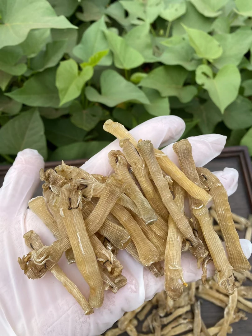 本港无沙沙虫干:半斤一包，1包起拍