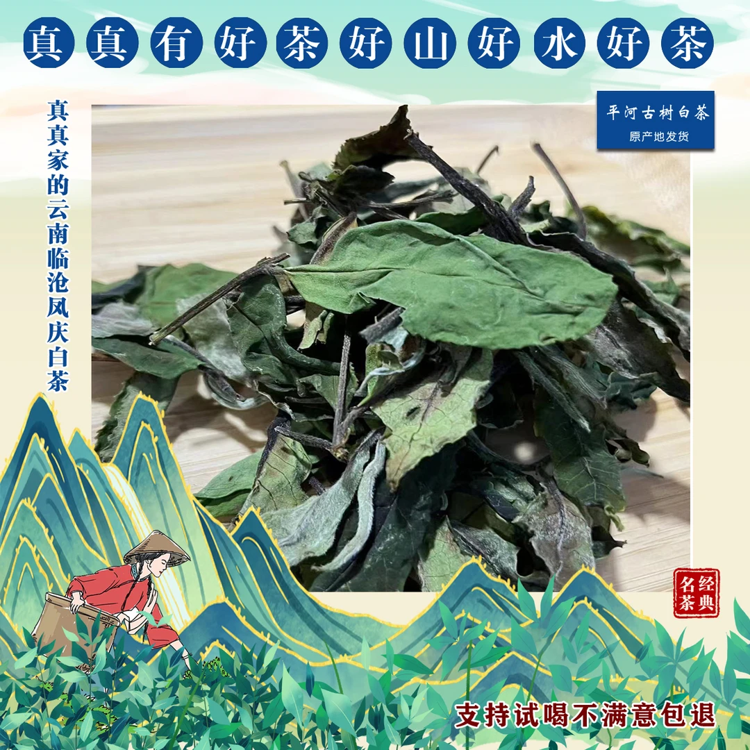 真真自采平河古树白茶(临沧凤庆平河古树白茶)