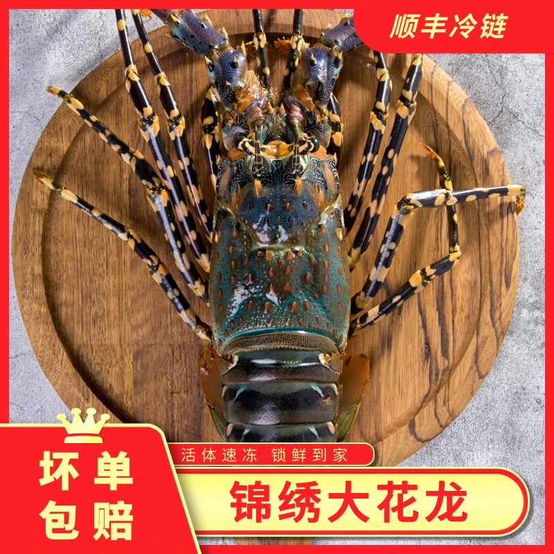 大花龙1-2斤活冻锁鲜干净打龙虾保鲜新鲜冷冻龙虾