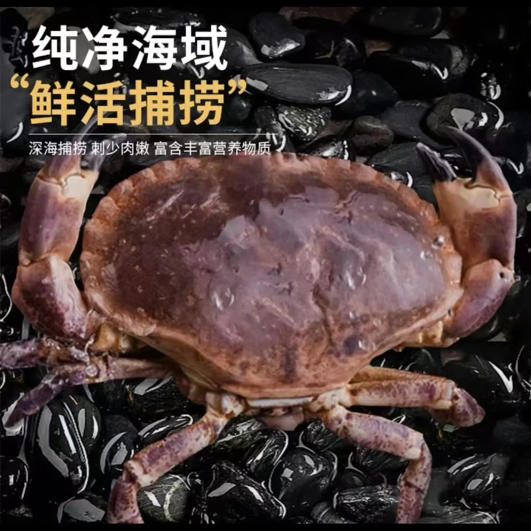 面包蟹活体速冻生动海鲜水产/顺丰发货