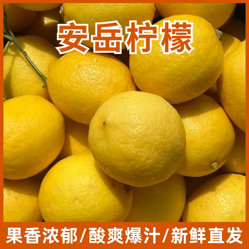 三级果【正宗安岳柠檬产地发货】酸爽多汁3斤5斤9斤装果香果香浓郁