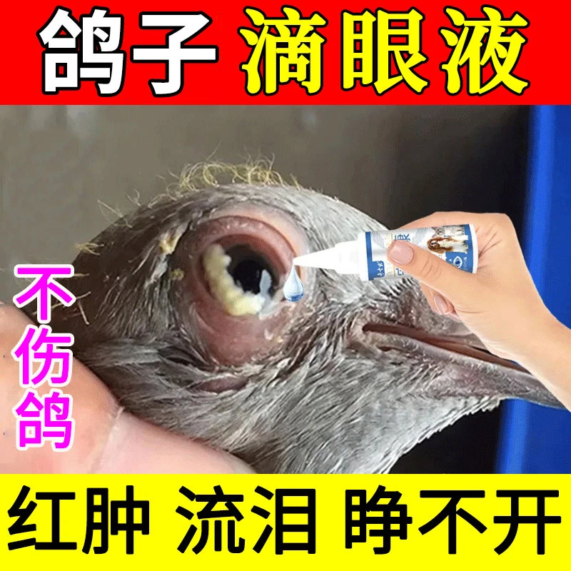 鸽子滴眼液眼睛流泪发红闭眼睁不开眼信鸽赛鸽幼鸽鸟类专用滴眼液