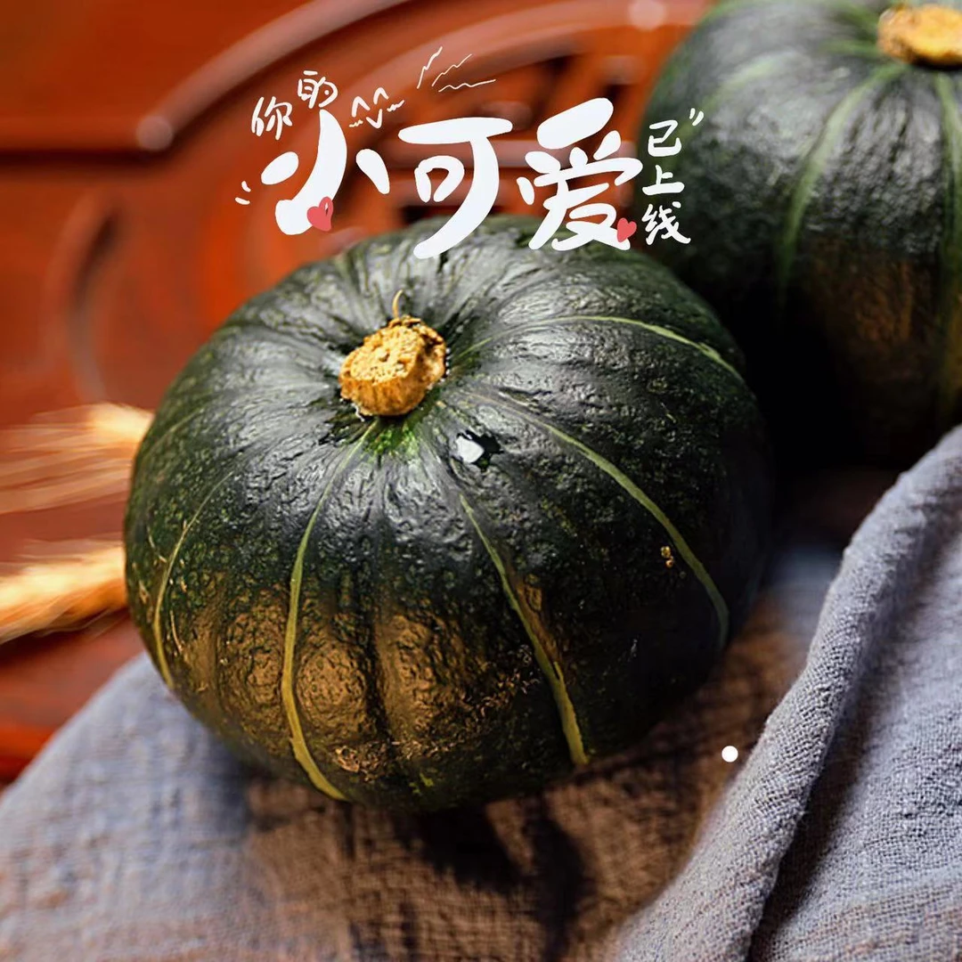 正宗贝贝南瓜粉糯香甜板栗味可作宝宝辅食和代餐粗粮板栗南瓜