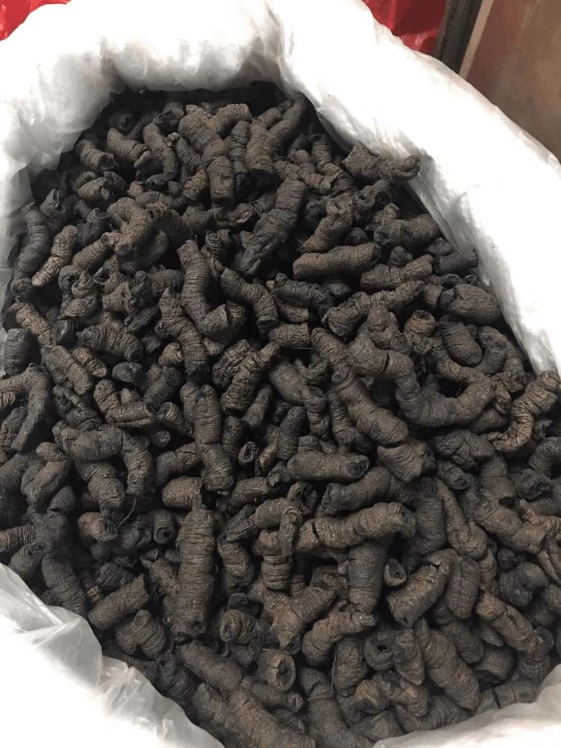 新鲜农产品巴吉天