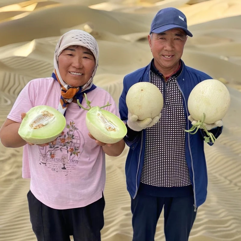 【13斤银蒂白兰瓜 】稀有品种 甘肃民勤沙漠蜜瓜多汁蜜软糯香8-13斤