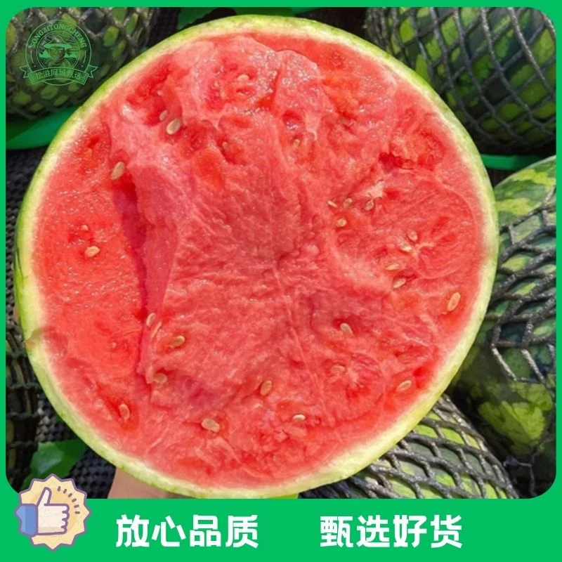 【现切】半个无籽麒麟西瓜（单买不配送）