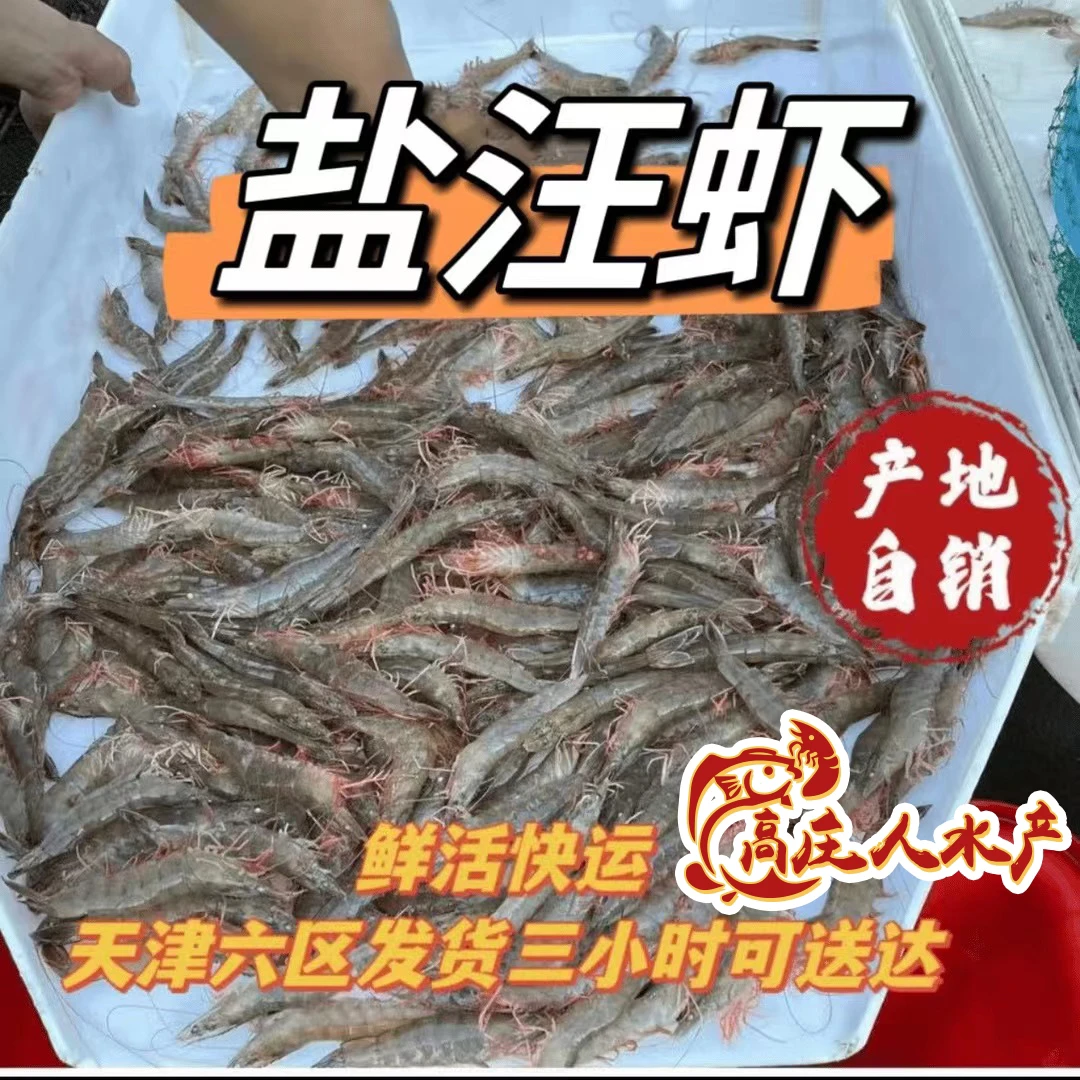 【汉沽原产地直销】汉沽本地纯盐汪子虾30条左右