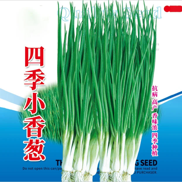 11【全店满5元包邮】小香葱种子