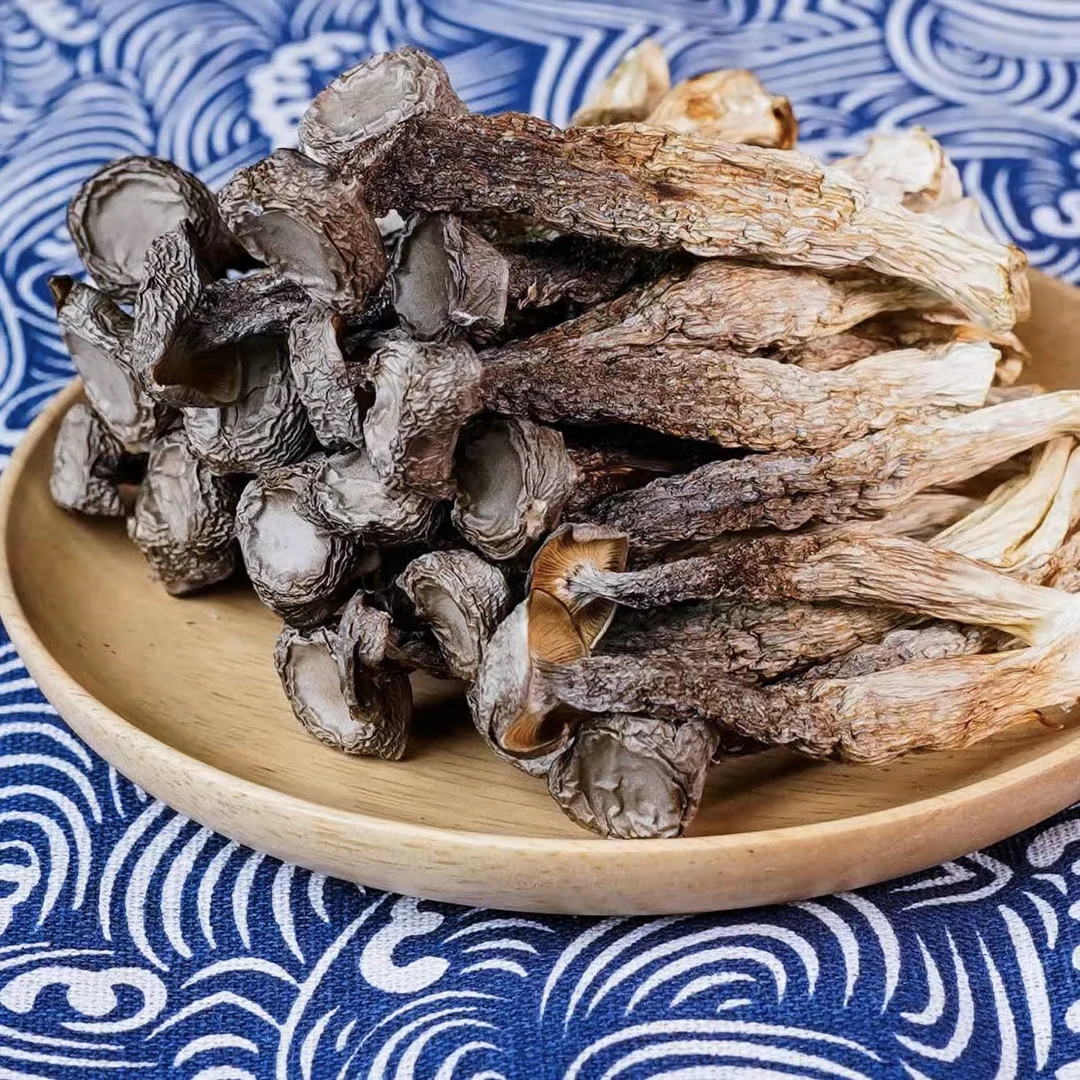 【福利品 】鹿茸菇干货鹿茸菇菌新鲜野山菌子鹿茸姑香菇