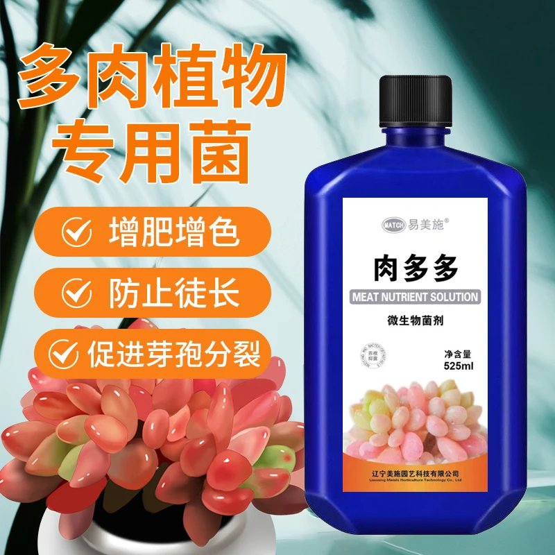 【拍3发5】肉多多营养液多肉增肥增色爆芽饱满生根家用室内室外