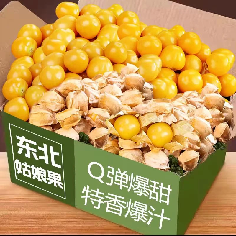 东北特产菇娘果灯笼果甜水果当季灯笼果产地现货直发姑娘果3斤装