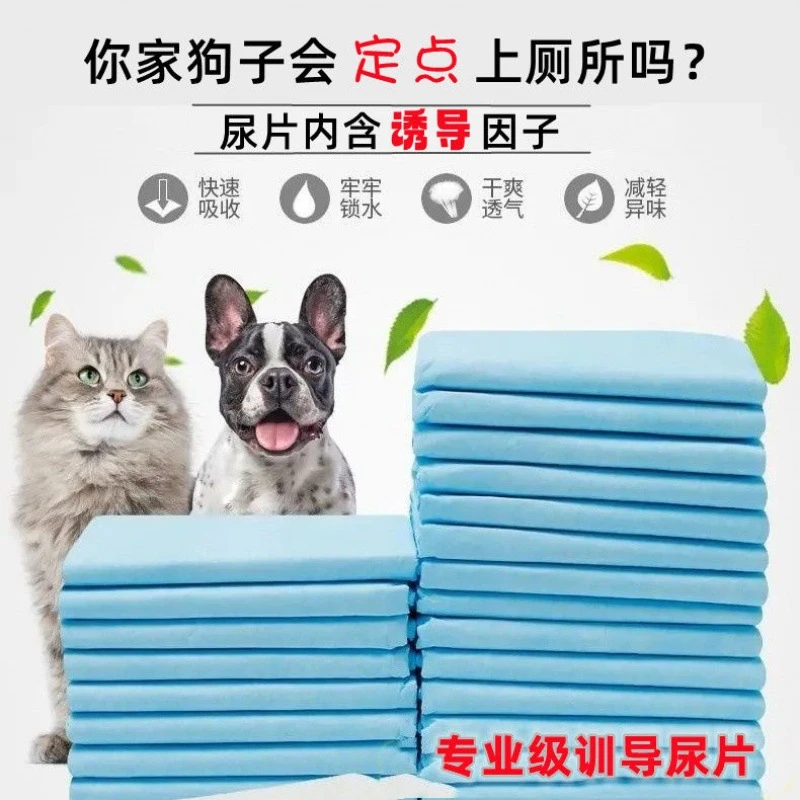 狗狗尿垫加厚除臭吸水一次性尿片猫用仓鼠尿不湿大尺寸宠物隔尿垫