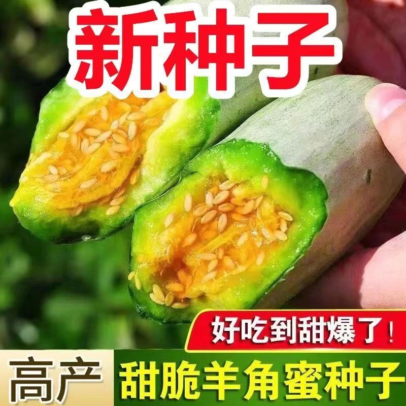 【到手3袋】羊角蜜甜瓜种子四季水果种绿宝石瓜种子甜脆羊角蜜种子