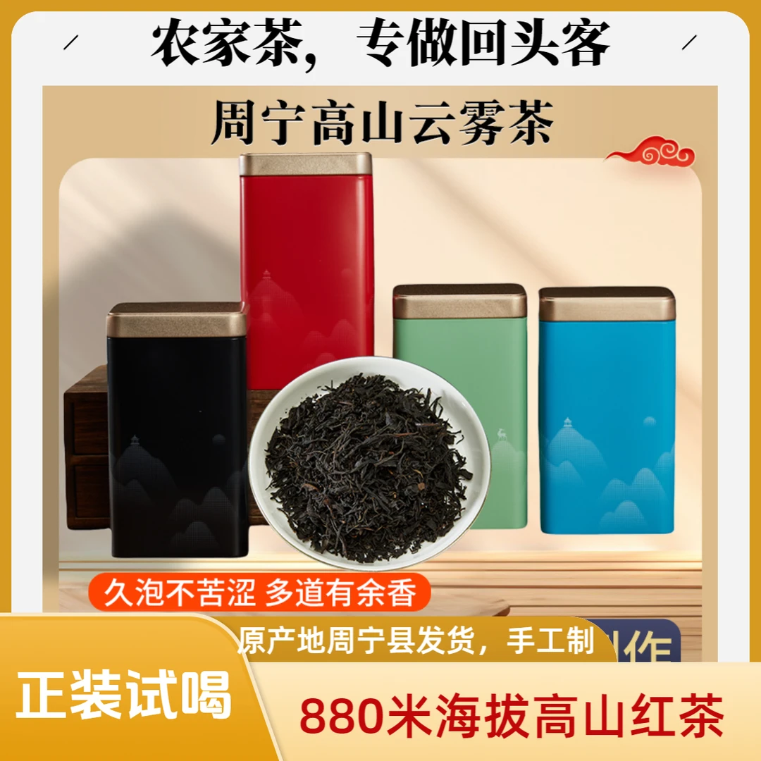 高山正山小种云雾红茶浓香型制作品质茶花香蜜香细芽冲泡制茶新茶