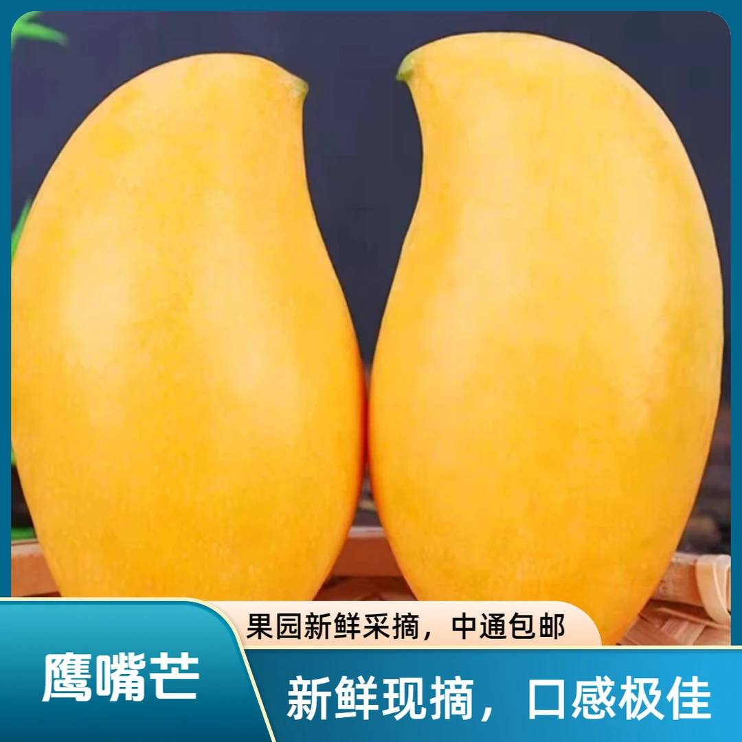 5斤正宗云南芒果鹰嘴芒象牙芒优质果园新鲜采摘产地直发优质成熟