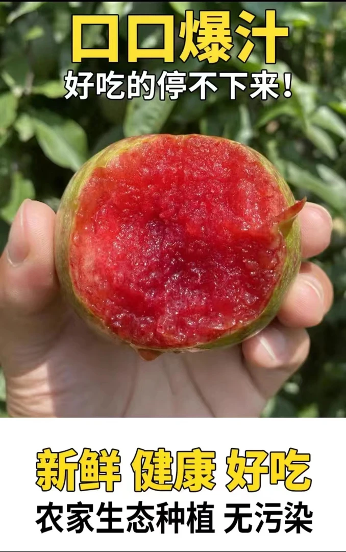 【现摘现发】红心味帝李红心李肉厚非三华李芙蓉李酸甜新鲜饱满多汁