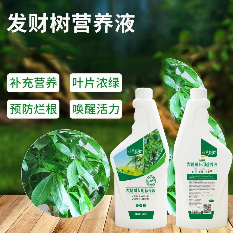 发财树叶子发黄掉叶发财树专用营养液养花营养液植物复活营养液