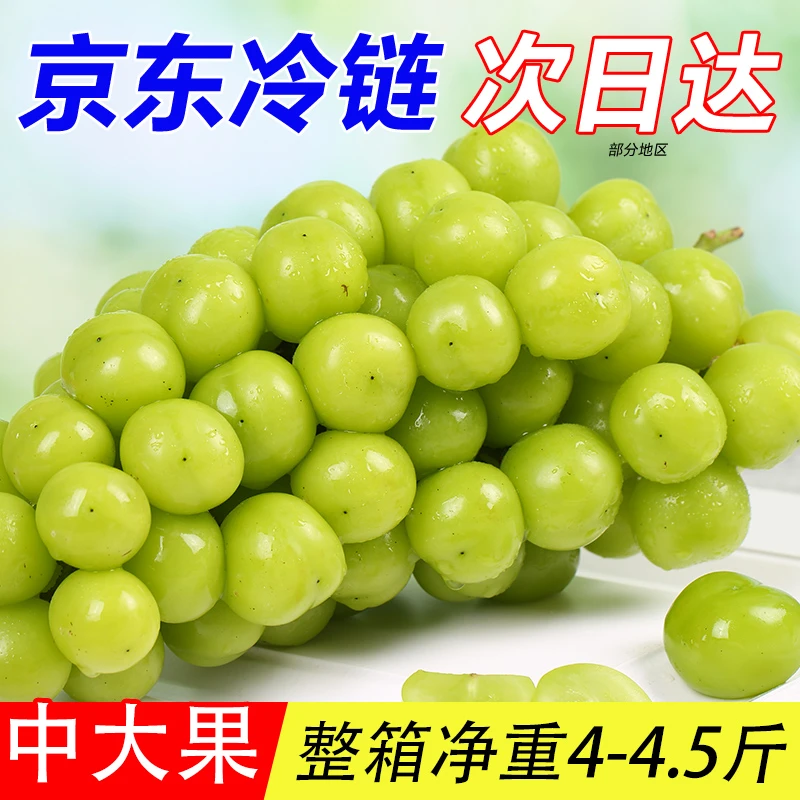【整箱5斤】富硒阳光玫瑰晴王葡萄新鲜应季水果无籽青提冷链彩箱装