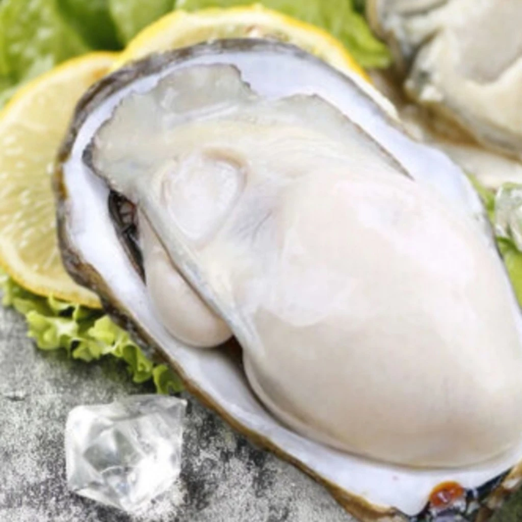 乳山生蚝5斤（4两左右一只）
