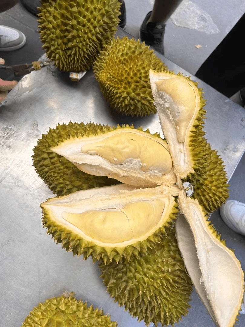 泰國金枕榴蓮一个(一物一拍)