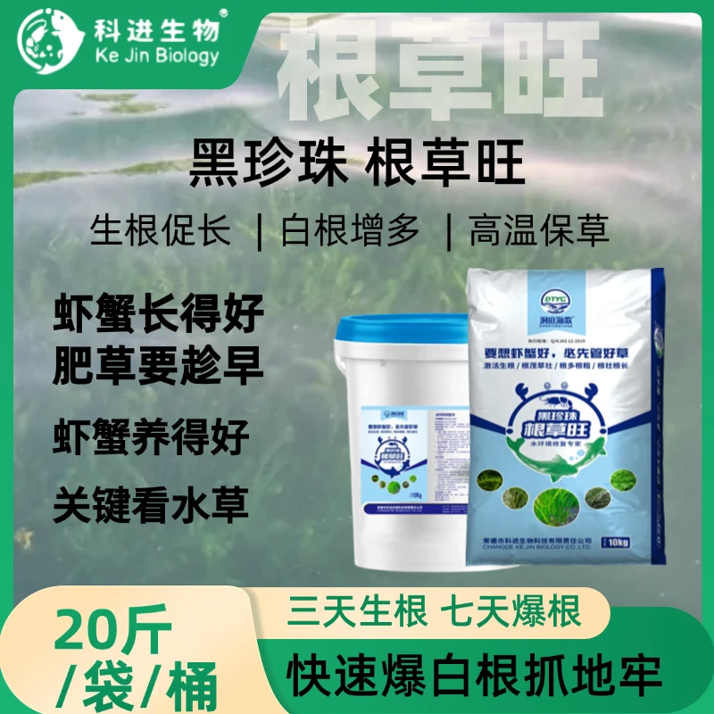 【黑珍珠根草旺】根草旺草肥壮促生根长草壮茎