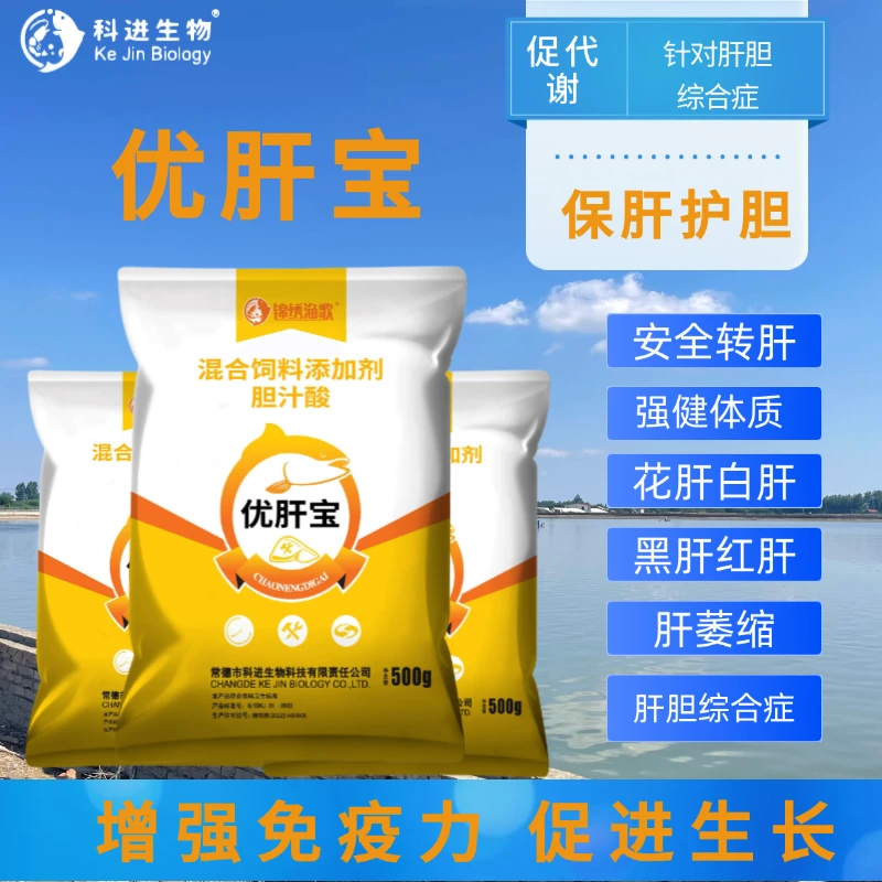锦绣渔歌【优肝宝】胆汁酸牛磺酸促代谢保肝利胆肝胆视频综合学校