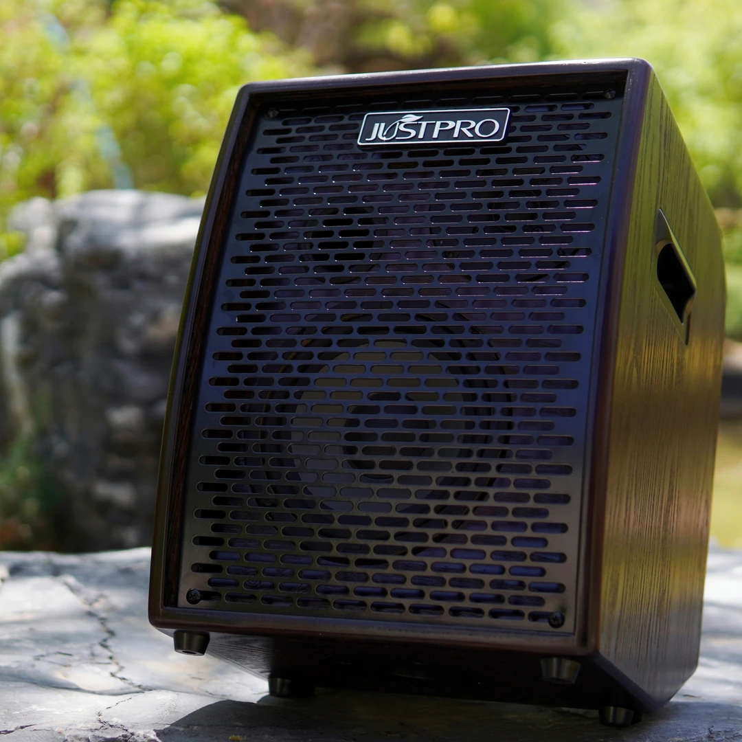 JUSTPRO/杰斯普MX-100PRO原声乐器音箱 支持蓝牙内录
