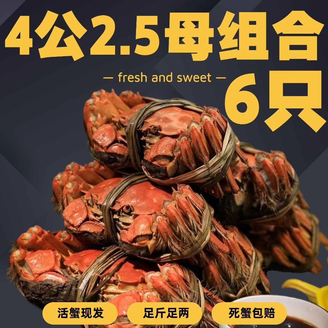 【共6只】4两公蟹3只+2.5两母蟹3只活蟹现发