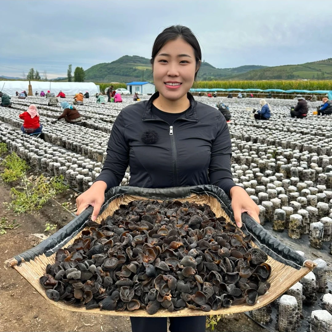 2025年秋木耳小碗耳自家种植东北东宁黑木耳新干货肉厚无根