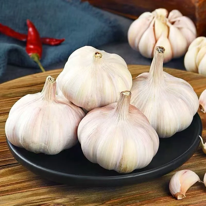 农家白皮大蒜蔬菜山货土货农产品SC