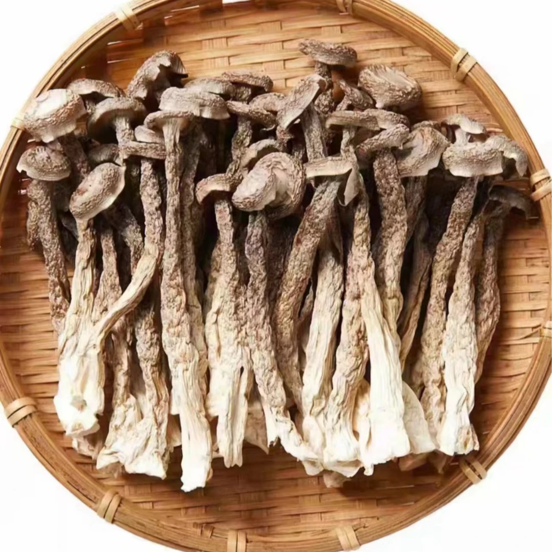 农家鹿茸菇蔬菜山货土货农产品MJ