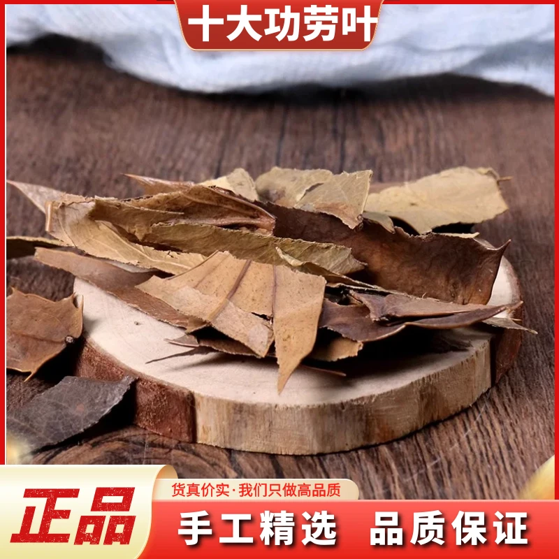 十大功劳叶正品功劳叶新鲜干货十大功劳叶泡水散装叶菜250g-500g