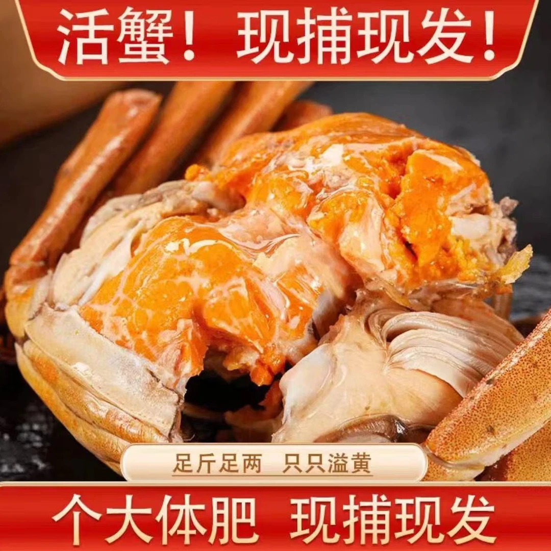 【活蟹】苏州精品大闸蟹母2.4-2.6两 8只装 顺丰空运包邮