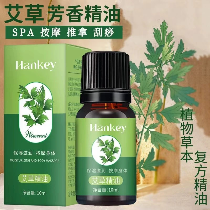植物艾草精油草本