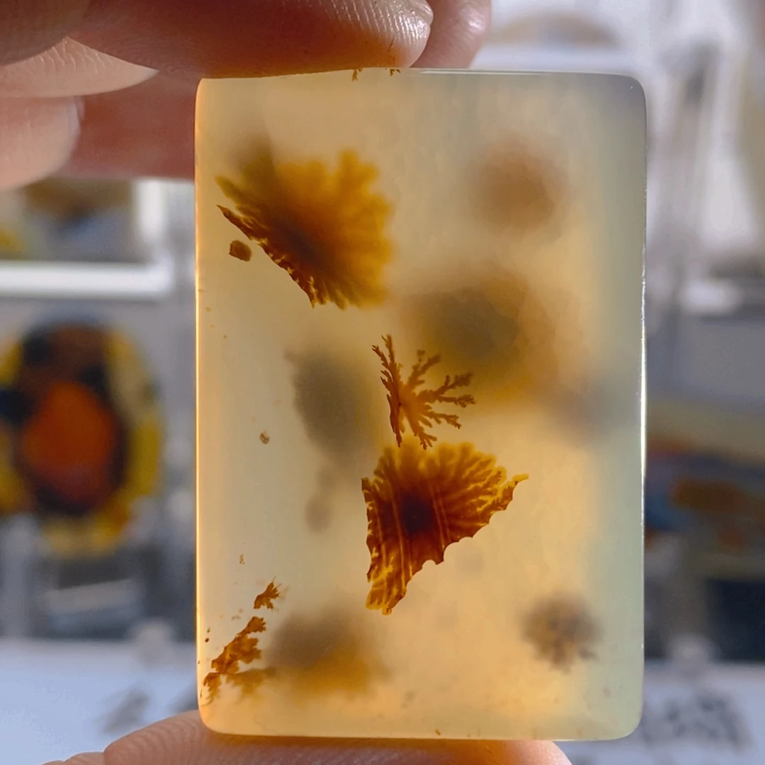 玛瑙/玉髓颈饰未镶嵌