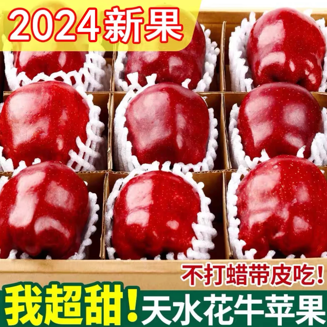 【甘肃天水-花牛苹果】甘甜孕妇新苹果2024新鲜采摘刮泥粉面多汁