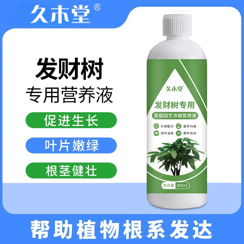 大容量【久木堂】发财树专用园艺发财树专用营养液生根疏松土培适用