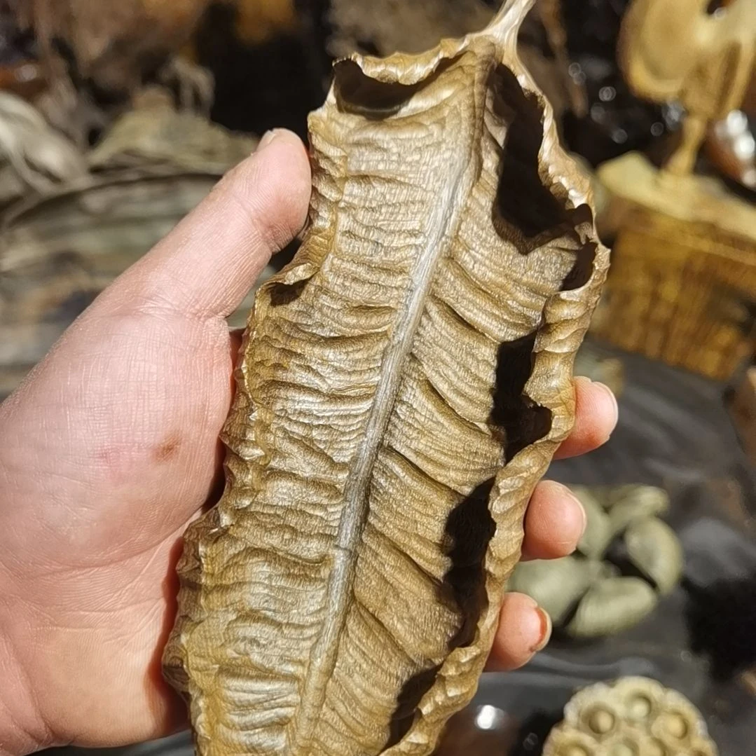 【闪购商品】香木爱**头