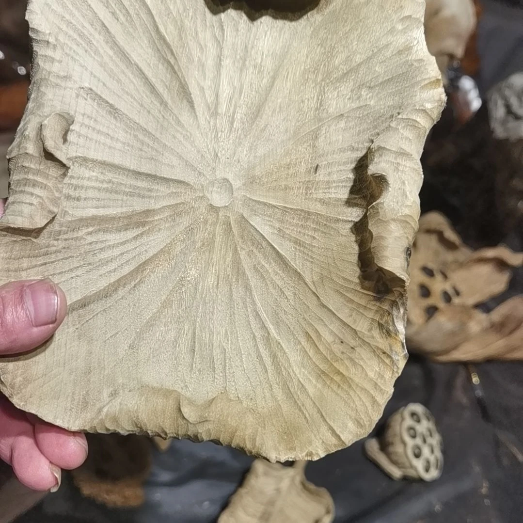 【闪购商品】香木冯****e