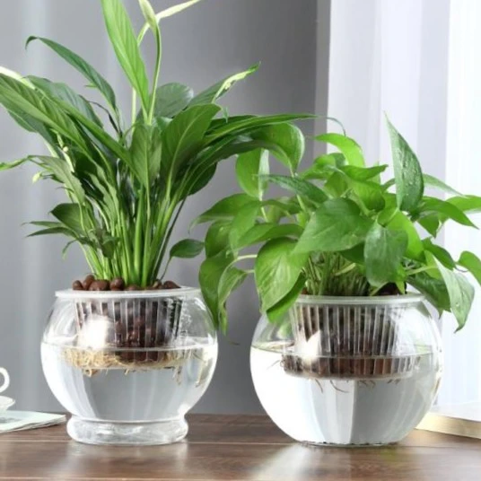 创意水培瓶植物透明切割玻璃花瓶容器绿萝花盆鱼花共养缸水养摆件