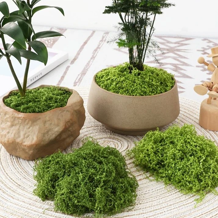 仿真苔藓草皮仿生人造假青苔微景观布置摆件草坪盆景盆栽铺面造景