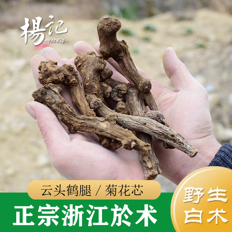 於术 浙白术 浙江野生白术 中药材于术 生白术片 炒白术