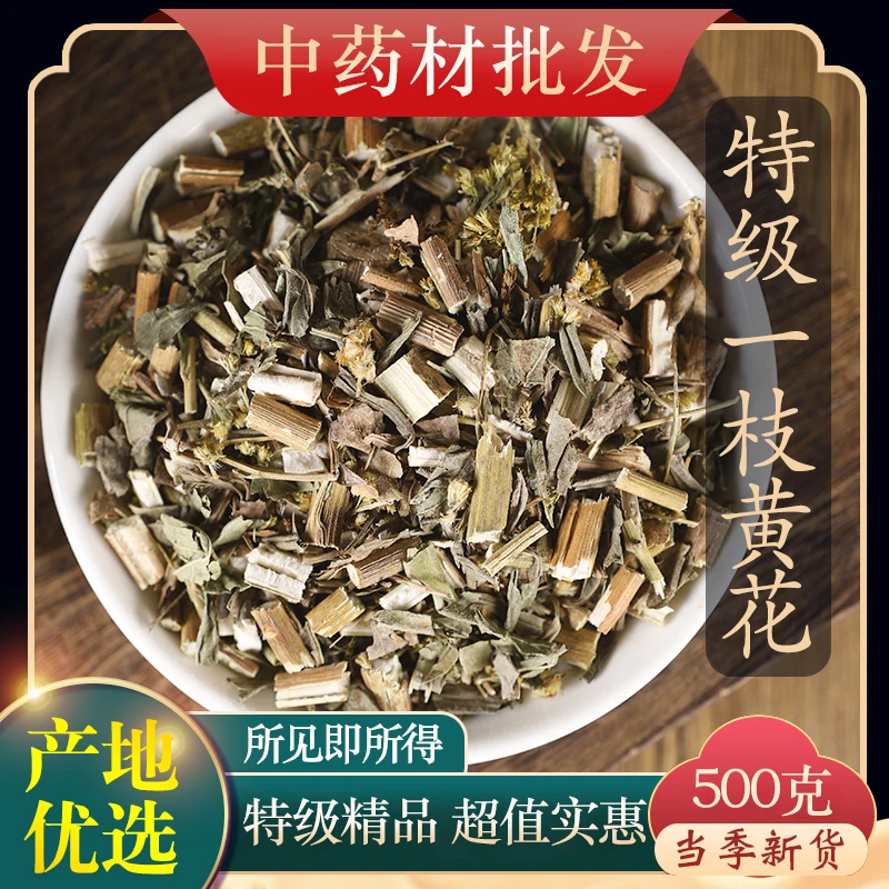 一枝黄花 一支黄花黄花草舌头王百草根